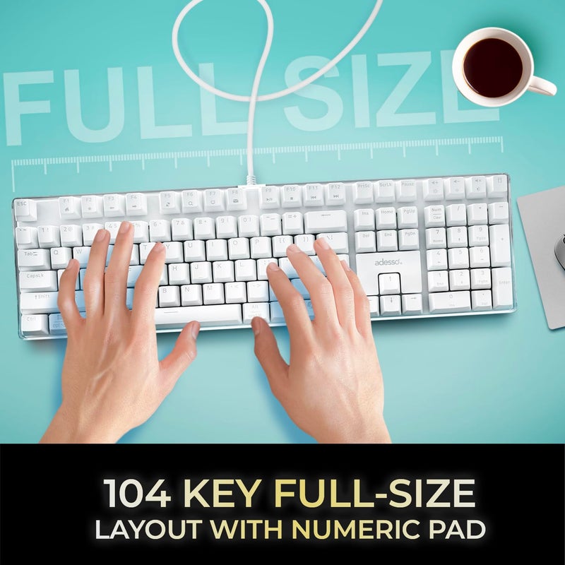 Adesso AKB-680UW Mechanical Keyboard with Copilot AI Hotkey - Brown Switch, Multi-OS Compatible | Enhanced Productivity with Tactile and Quiet Feel and Multimedia Keys, White - Image 3