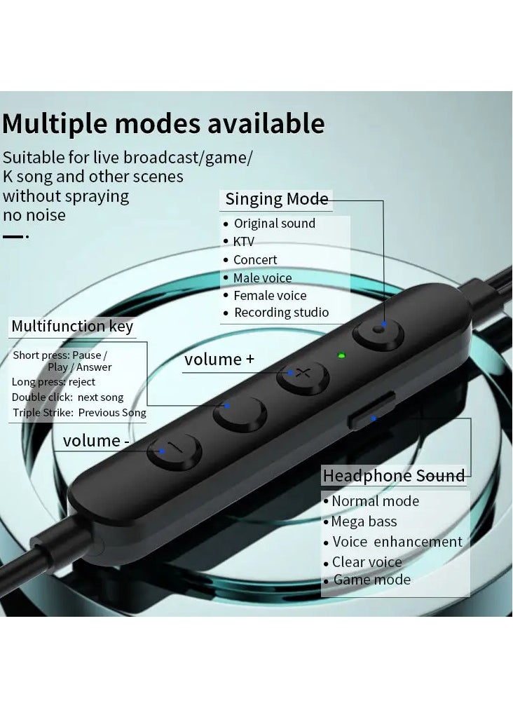 KARAOKE Earphone Type-C Wire with Voice Changing Feature Compatible with All Devices and iPads with TASI-C Port Black