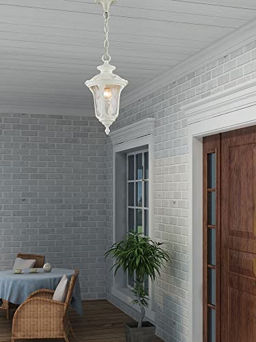 Livex فوانيس خارجية معلقة من ليفكس لايتنج 7849-07 أكسفورد بلمبة واحدة، برونزي - Image 2