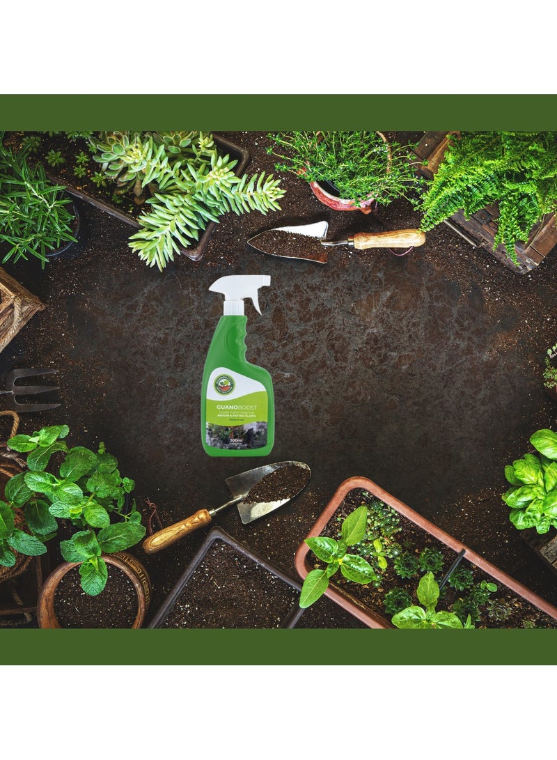 Generic GUANOBOOST 500 ml Organic Liquid Fertilizer Spray, Ready to Use, Sustainably Sourced Seabird Guano, Boosts Root Growth & Soil Health, Safe for Kids & Pets, Indoor & Outdoor, UAE Climate Friendly - Image 2