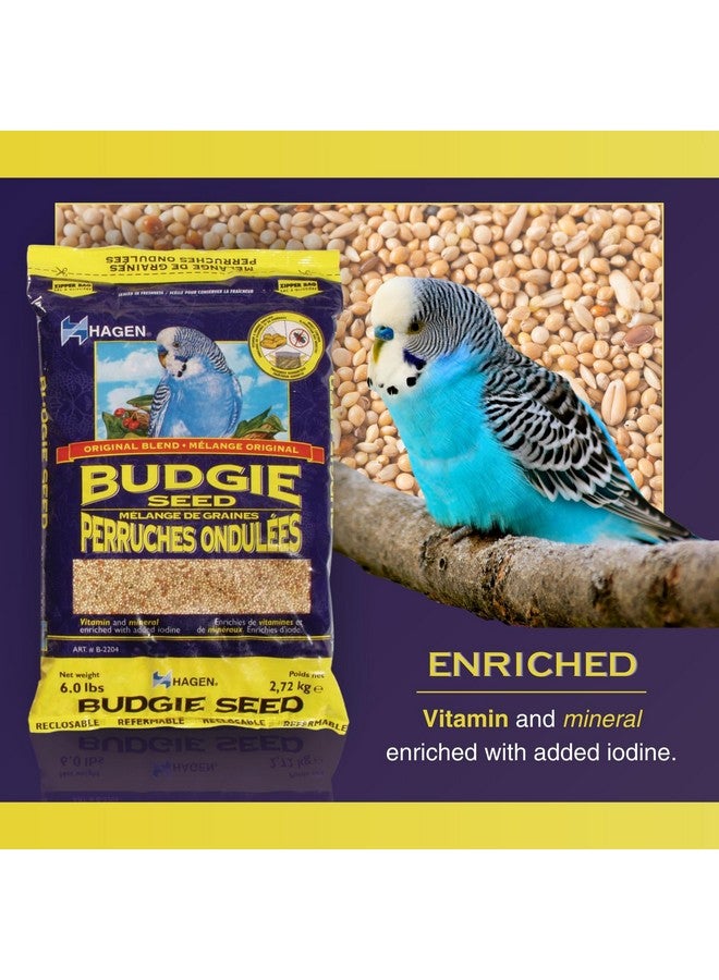 هاغن بذور هاجن الأساسية للبادجي والببغاوات - مزيج فاخر، متوازن غذائيًا، مدعم بالفيتامينات والمعادن، خالي من الغبار، كيس 6 أرطال - Image 2