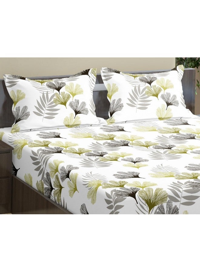 Trance Home Linen ملايات منزل ترانس 100% قطن 180 TC 78"X48" حجم سرير توأم مع ملاءة مطاطية | غطاء سرير مطبوع بحجم توأم مع 2 غطاء وسادة (78X48 بوصة، أخضر الجنة) - Image 2