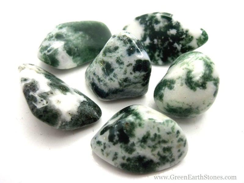 Pachamama Essentials Tree Agate Tumbled  Healing Stone  Crystal Healing 2025mm 1
