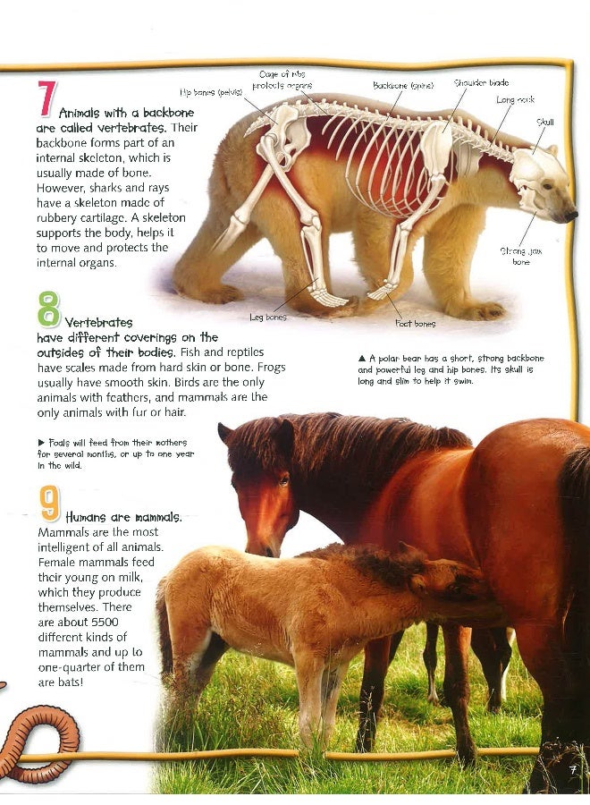 100 Facts Animal Life - Image 5