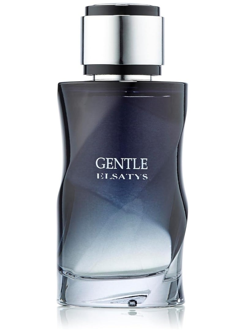 Reyane Tradition Gentle Elsatys Perfume For Men - EDP 100ml - Image 2