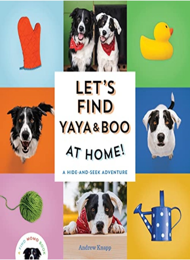 LETS FIND YAYA & BOO AT HOME 