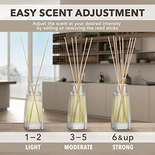 AROMATIKA Grapefruit Reed Diffuser with Grapefruit Oil, 100ml, 9 Piece Set, Scented Reed Diffuser, Long Lasting Aroma, Bamboo Sticks, Home, Office - Image 3