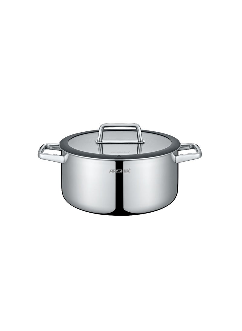 Arshia Steel pot, 32 cm, German Tefal Arshia heart, 3173 