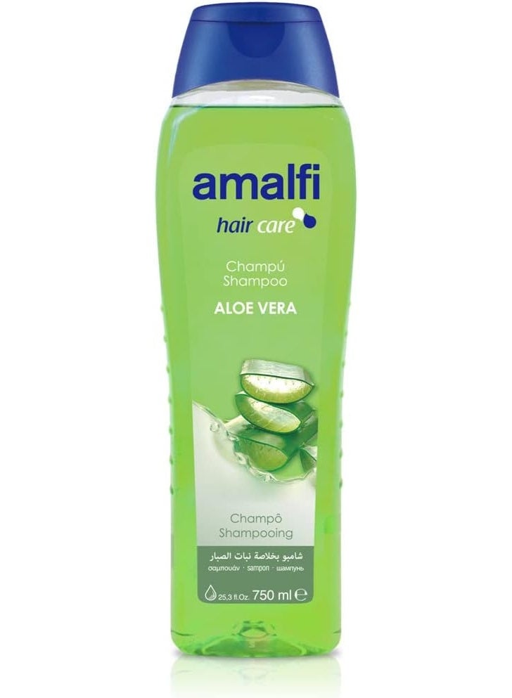 AMALFI Hair Care Shampoo Aloe Vera With Enriched Moisture Serum 750 ML - Image 1