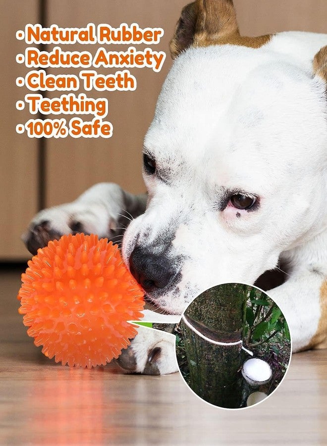 Agirav Tail Dog Toys + Dog Chew Toys + Puppy Teething Toys + Rope Dog Toy + Dog Toys for Small to Medium Dog Toys + Dog Toy Pack + Tug Toy + Dog Toy Set + Washable Cotton Rope for Dogs(Pack of 7) - Image 5