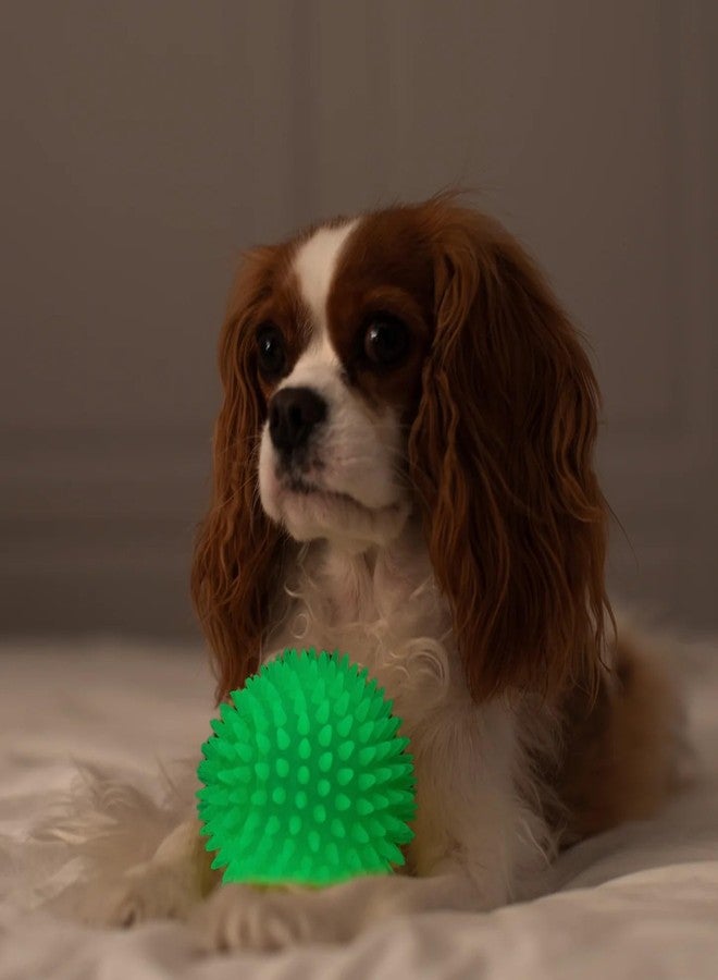 Agirav Tail Dog Toys + Dog Chew Toys + Puppy Teething Toys + Rope Dog Toy + Dog Toys for Small to Medium Dog Toys + Dog Toy Pack + Tug Toy + Dog Toy Set + Washable Cotton Rope for Dogs(Pack of 7) - Image 4