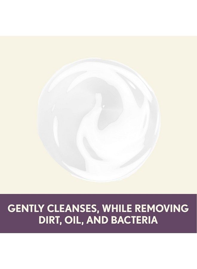 Aveeno Absolutely Ageless Nourishing Daily Facial Cleanser AntioxidantRich Blackberry Extract NonComedogenic MakeupRemoving Face Wash from DermatologistRecommended Brand 52 fl oz - Image 3