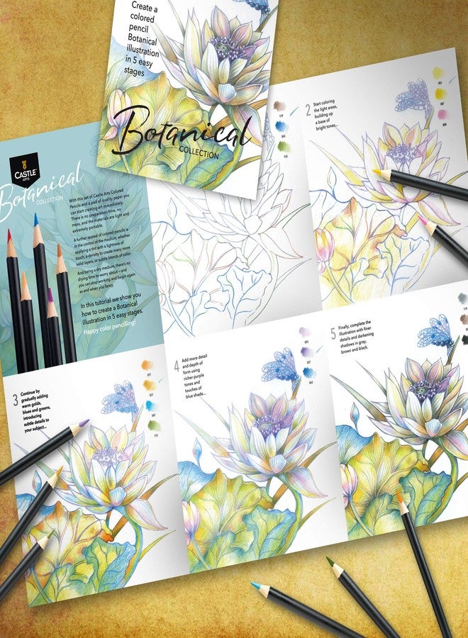 Castle Art Supplies Castle Arts Themed 24 Coloured Pencil Set in Tin Box, perfect colours for ‘Botanical’ Art. Featuring quality, smooth coloured cores, superior blending & layering performance for great results - Image 5