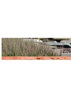 GardenPlast® Stone Palisade Dark Brown 3.16m - Lawn Edge Garden Palisade Palisade Flower Bed Stone Look - pzsku/Z65578B7D7B321E7170B8Z/45/_/1716541414/347930ef-1b60-437f-9764-60e9543de8f4