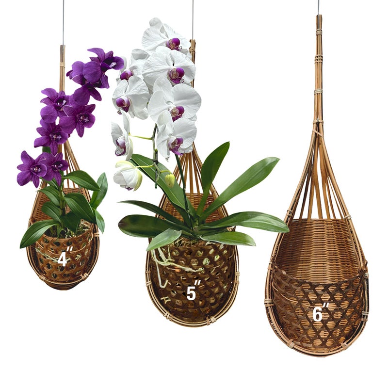 PANWA Handmade 100% Thai Bamboo Hanging Orchid Basket â€“ 4 Inch, 5 Inch, 6 Inch (Triple Set) - Image 1