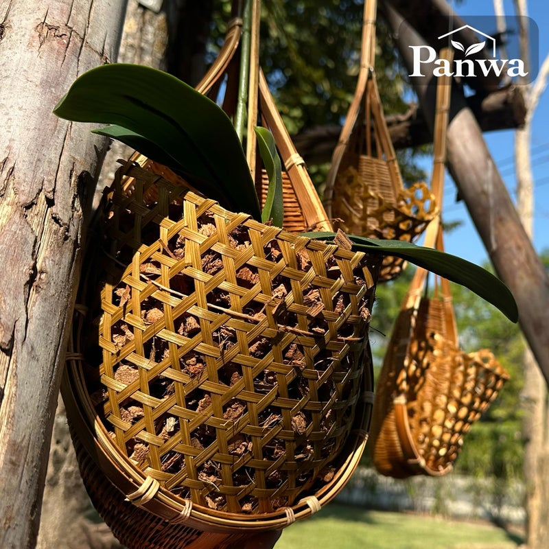 PANWA Handmade 100% Thai Bamboo Hanging Orchid Basket â€“ 4 Inch, 5 Inch, 6 Inch (Triple Set) - Image 3