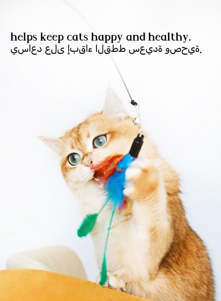 Cat Feather Toys Retractable Interactive Cat Toys for Indoor Cats, Cute Cat Chew Toys, Kitten Fun Door Hanging,  5PCS Feather Replacements with Bell - Image 5