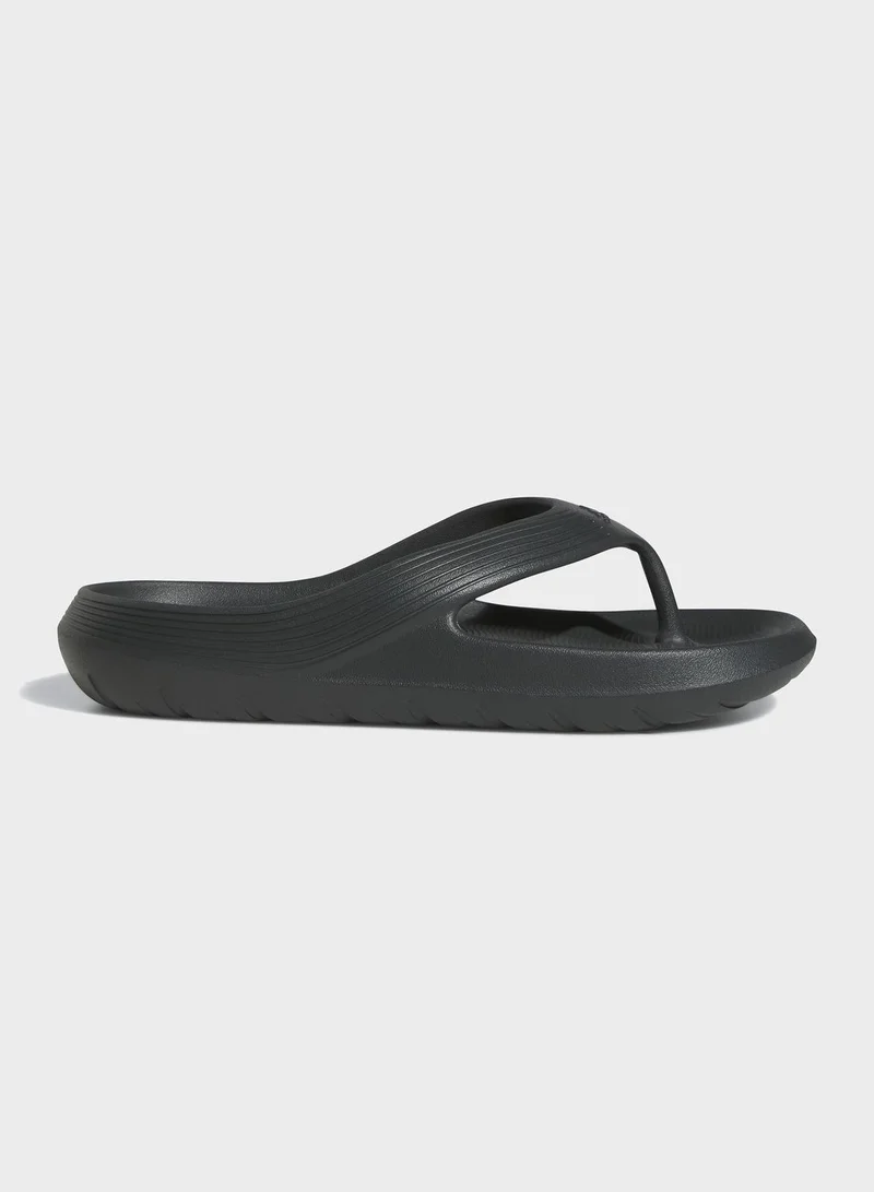 Adidas Adicane Flip-Flops