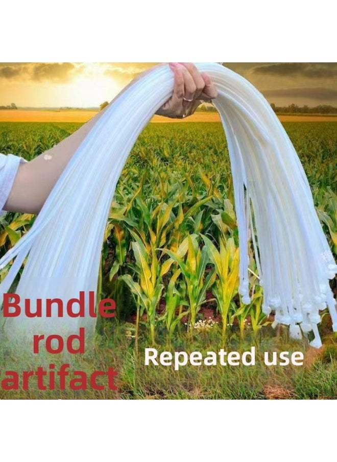Generic Buckle Nylon Tie Large 1.1 M Long Reusable Bundle Cornstalk Plastic Tie Tape Large-Color:Live Buckle 1.1m 200 Pieces  - Image 5