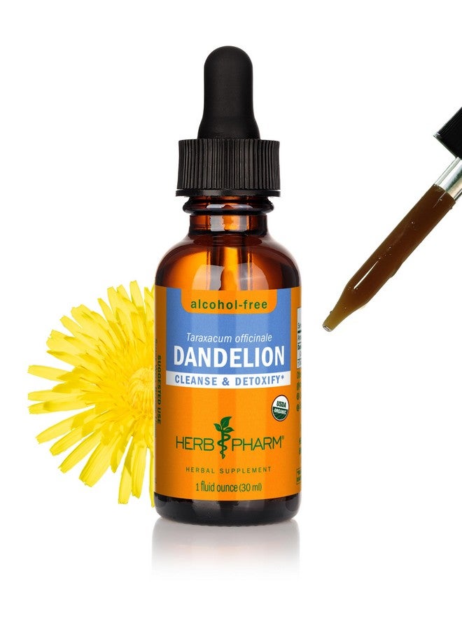 Herb Pharm Certified Organic Dandelion Liquid Extract for Cleansing and Detoxification, Alcohol-Free Glycerite, 1 Fl Oz - Image 1