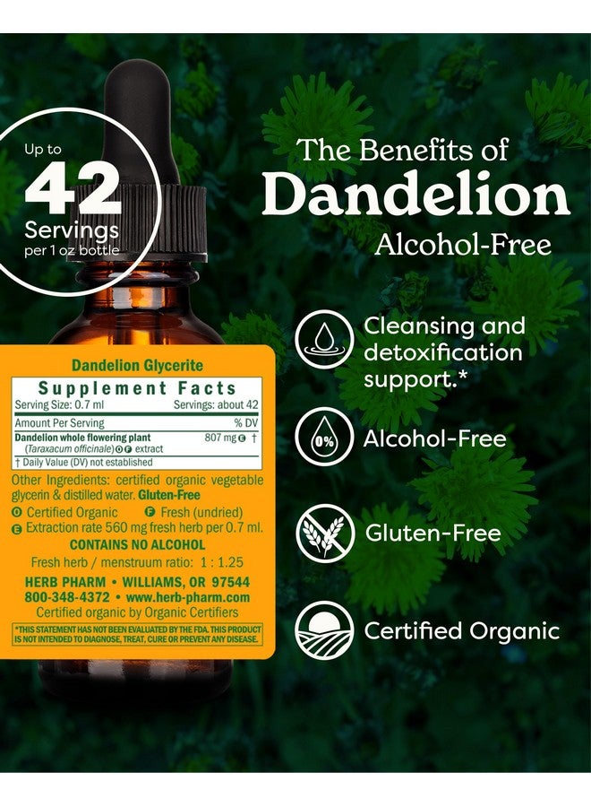 Herb Pharm Certified Organic Dandelion Liquid Extract for Cleansing and Detoxification, Alcohol-Free Glycerite, 1 Fl Oz - Image 2