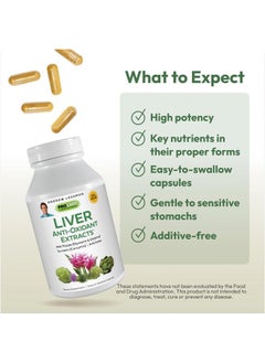 Andrew Lessman Liver Anti-Oxidant Extracts 60 Capsules - Supports The Hard-Working Tissues of The Liver, Promotes Optimum Liver Health and Function. Milk Thistle, Turmeric and Artichoke Extracts  - Image 4