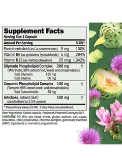 Andrew Lessman Liver Anti-Oxidant Extracts 60 Capsules - Supports The Hard-Working Tissues of The Liver, Promotes Optimum Liver Health and Function. Milk Thistle, Turmeric and Artichoke Extracts  - Image 2