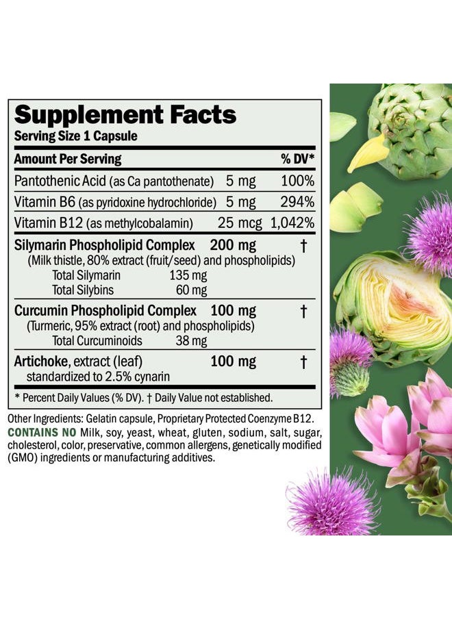 Andrew Lessman Liver Anti-Oxidant Extracts 60 Capsules - Supports The Hard-Working Tissues of The Liver, Promotes Optimum Liver Health and Function. Milk Thistle, Turmeric and Artichoke Extracts  - Image 2