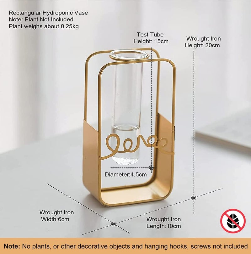 FURN ASPIRE Furn Aspire Glass Metal Frame Stand Flower Vase for Office Home Decoration and Environment Note Plants Decorative Objects Not Included Rectangle - Image 2