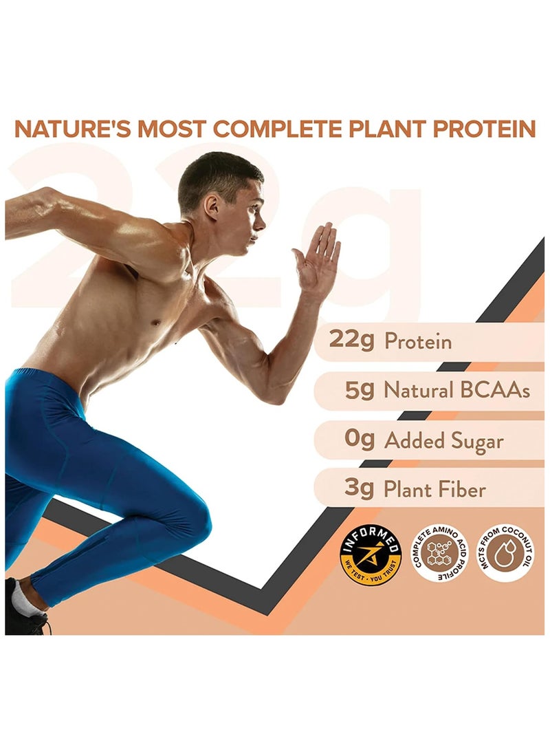 WELLBEING NUTRITION Superfood Plant Protein Dark Chocolate Hazelnut, Pack Of 3  - Image 2