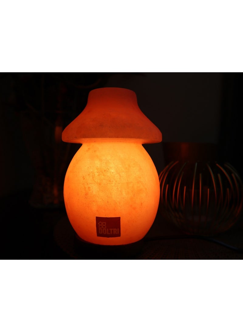 Doltri - Natural Himalayan Salt Lamp (Table Lamp Shape) - Image 2