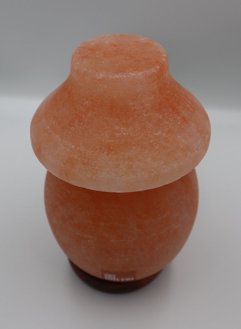 Doltri - Natural Himalayan Salt Lamp (Table Lamp Shape) - Image 5