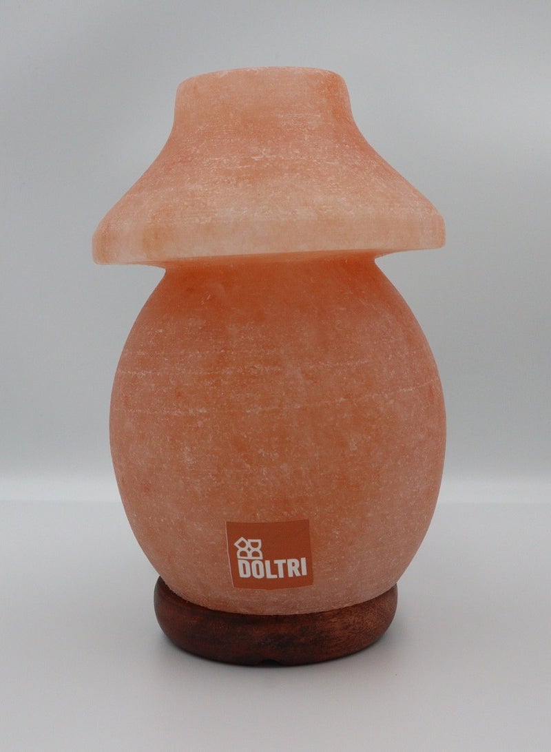 Doltri - Natural Himalayan Salt Lamp (Table Lamp Shape) - Image 3