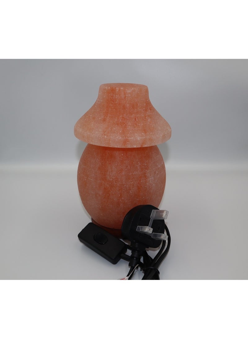 Doltri - Natural Himalayan Salt Lamp (Table Lamp Shape) - Image 4