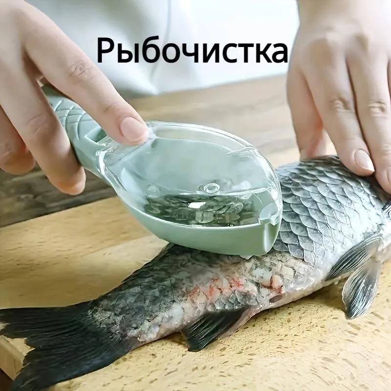 مزيل قشريات الأسماك مع غطاء ومقبآمن - Image 3