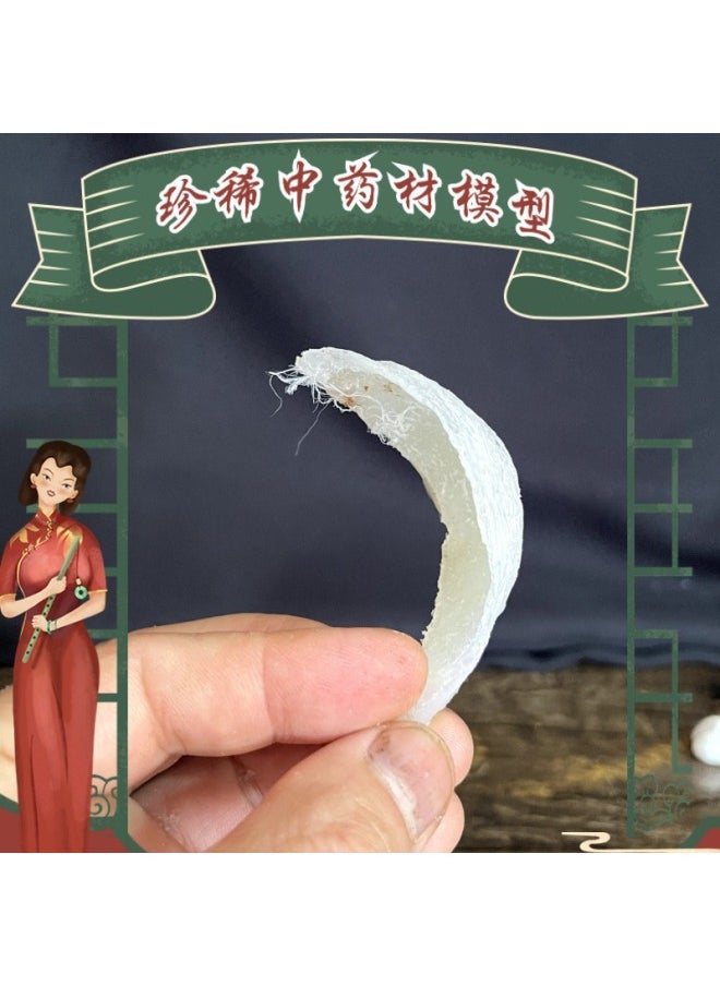 null - Simulation Of Rare And Precious Chinese Herbal Medicine Specimen Model Props More Than 70 Kinds Of Popular Science Propaganda Ornaments Can Be Selected And Invoiced-Color:Dong 'e-Jiao Model - Image 1