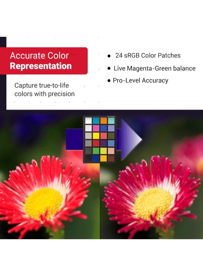 Datacolor SCK200 SpyderCheckr 24 Color Chart – Double-Sided Camera Color Calibration Tool, 24 Spectrally-Designed Pigment Patches, Gray Ramp & Skintone Reference, For Photo & Video Color Correction - Image 5