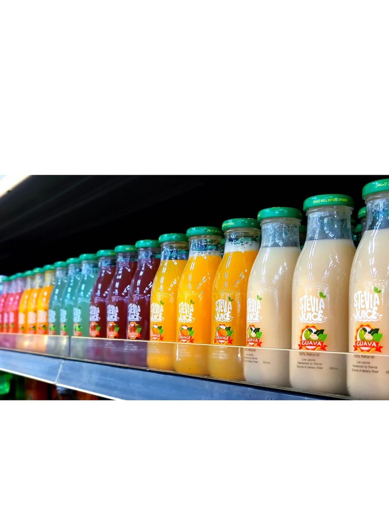 Stevia Juice Stevia Juice Natural Cocktail Juice - Natural and refreshing juice without sugar sweetened with natural stevia 300 ml - Image 2