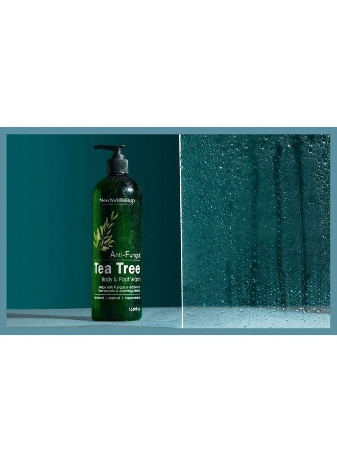 NEW YORK BIOLOGY THE ULTIMATE COSMECEUTICALS - New York Biology Tea Tree Body Wash for Men and Women – Moisturizing Body Wash Helps Soothe Itchy Skin, Jock Itch, Athletes Foot, Nail Fungus, Eczema, Body Odor and Ringworm – 16 Fl oz - Image 1