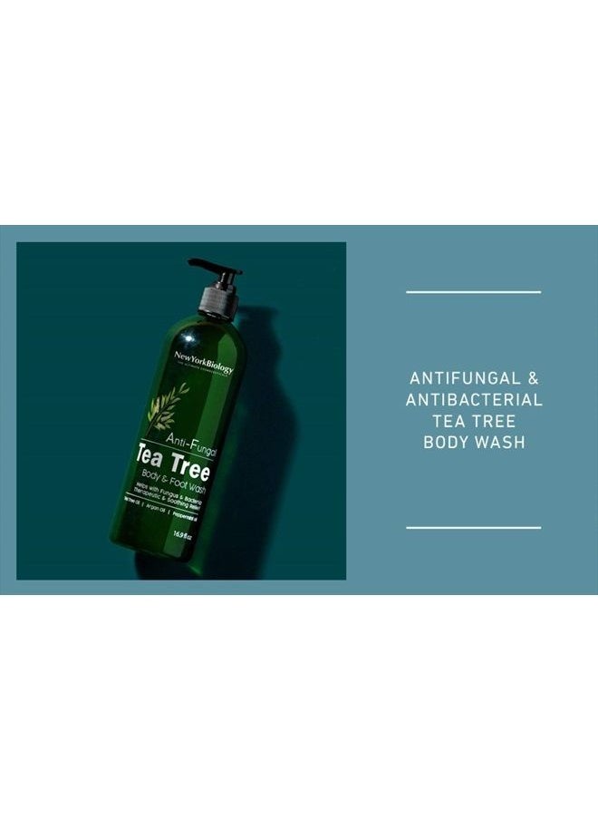 NEW YORK BIOLOGY THE ULTIMATE COSMECEUTICALS - New York Biology Tea Tree Body Wash for Men and Women – Moisturizing Body Wash Helps Soothe Itchy Skin, Jock Itch, Athletes Foot, Nail Fungus, Eczema, Body Odor and Ringworm – 16 Fl oz - Image 1
