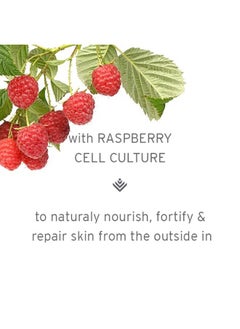 Kerstin Florian Clarifying BerryPlus Repair Serum | Anti-Aging Protective Facial Serum for All Skin Types | 1 fl oz  - Image 3