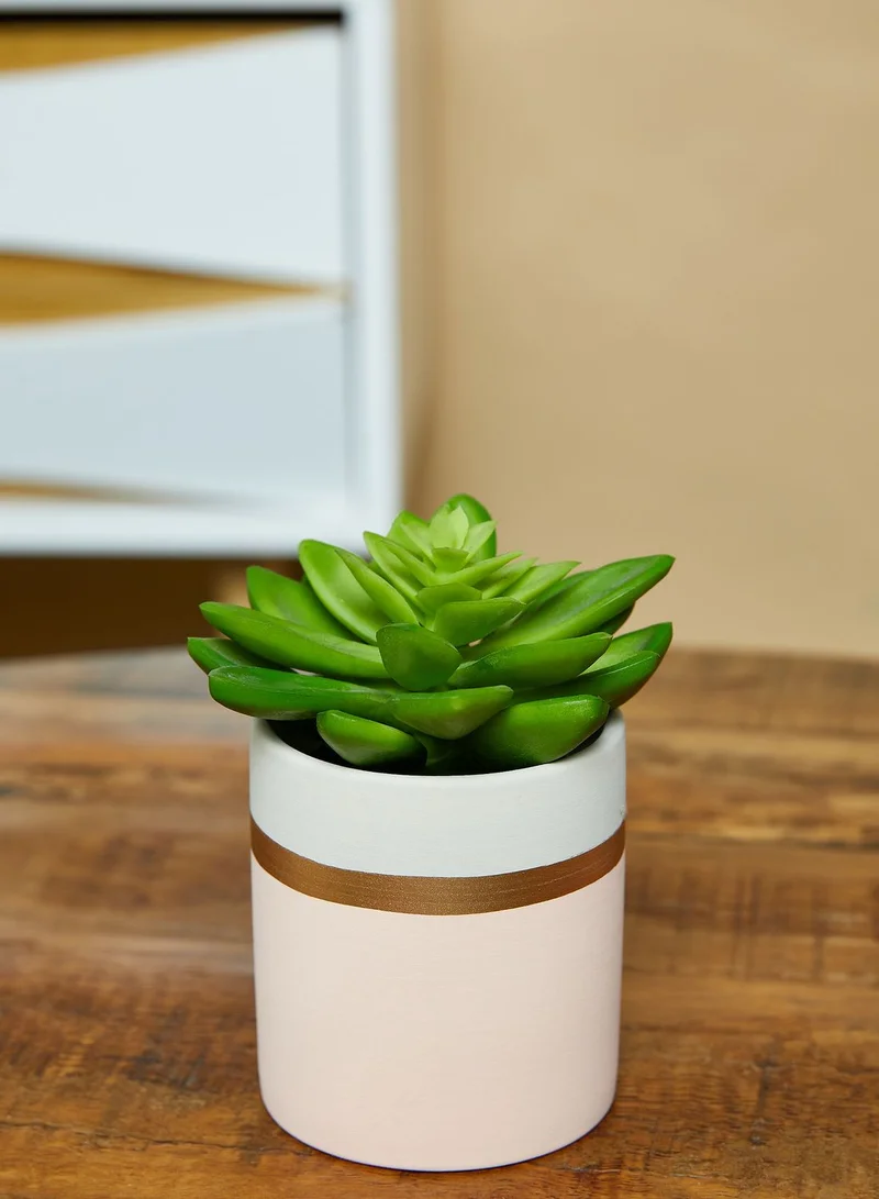 Premier Fiori Set of 3 Faux Succulents in Pots