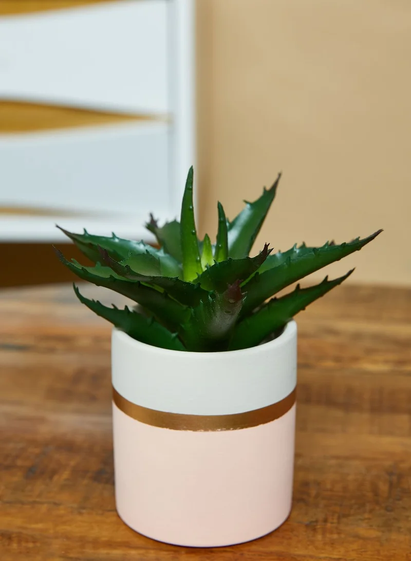 Premier Fiori Set of 3 Faux Succulents in Pots