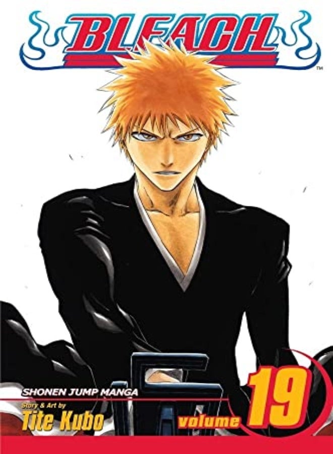 BLEACH V19