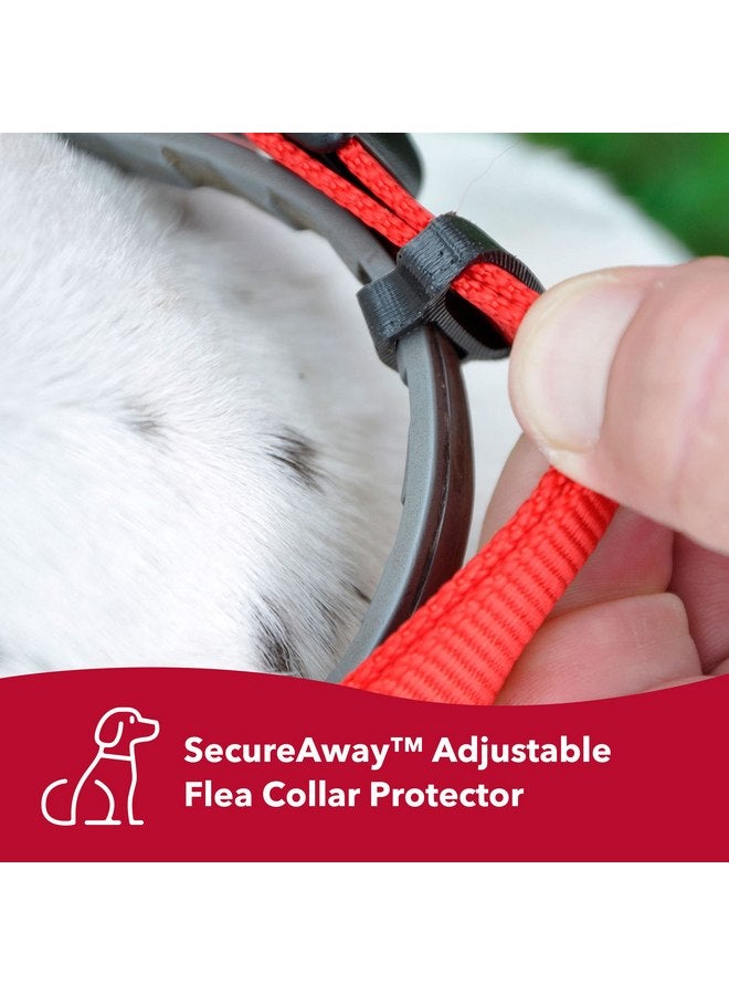 Coastal Pet SecureAway Collar Protector for Flea Collars - Dog Collar Accessory - Protective Collar for Flea Collar for Dogs - Adjustable Dog & Puppy Collar Protection - Black, 1" x 18-26" - Image 2