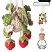 DaisyInner Cute Crochet Plant Car Freshener 12ml Empty Refillable Diffuser Bottle with Plants Hanging Accessories for Ornaments Charms Rearview Mirror Home Office Decor Women GiftsStrawberry - Image 2