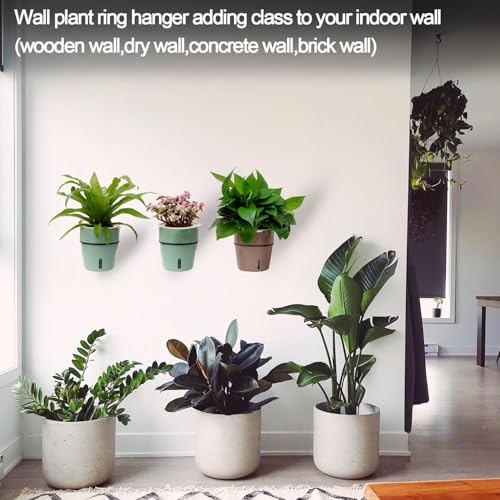 Crafties Art 6 Inch Plant Holder Ring 6 Pack Wall Mounted Flower Pot Holder Ring Metal Black Hanging Basket Bracket for Home Garden Indoor Outdoor Plants Planters - Image 4