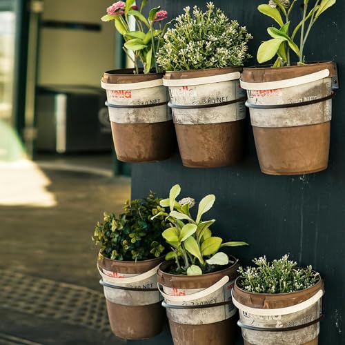 Crafties Art 6 Inch Plant Holder Ring 6 Pack Wall Mounted Flower Pot Holder Ring Metal Black Hanging Basket Bracket for Home Garden Indoor Outdoor Plants Planters - Image 2