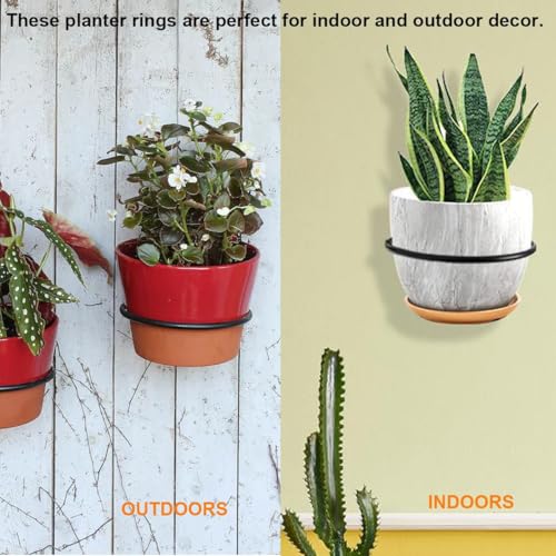 Crafties Art 6 Inch Plant Holder Ring 6 Pack Wall Mounted Flower Pot Holder Ring Metal Black Hanging Basket Bracket for Home Garden Indoor Outdoor Plants Planters - Image 5