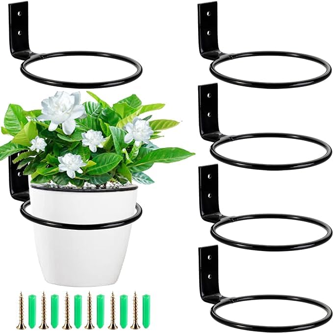Crafties Art 6 Inch Plant Holder Ring 6 Pack Wall Mounted Flower Pot Holder Ring Metal Black Hanging Basket Bracket for Home Garden Indoor Outdoor Plants Planters - Image 1